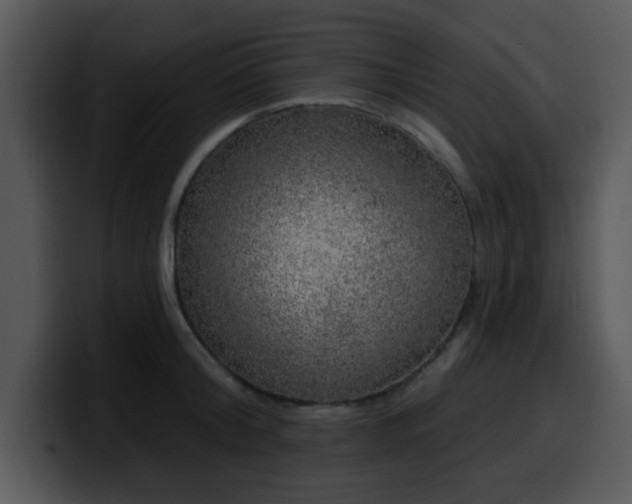 X0000100390804200806061253