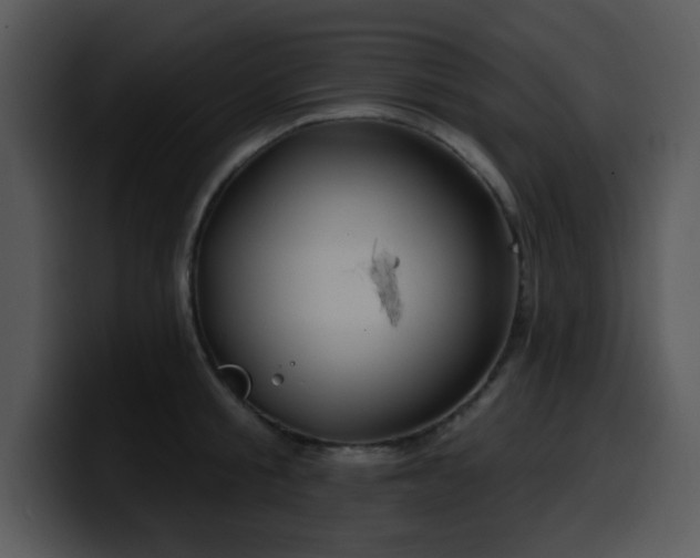 X0000100390805200806061253