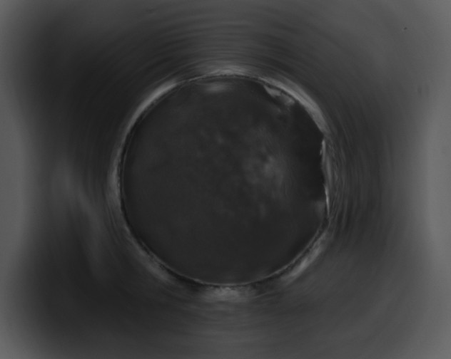 X0000100390806200806061253