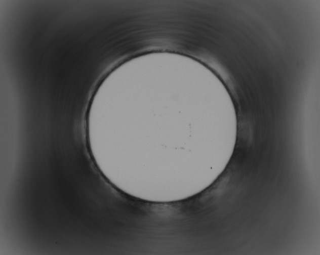 X0000100390807200806061253