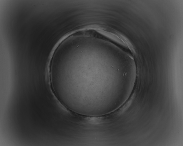 X0000100390808200806061253