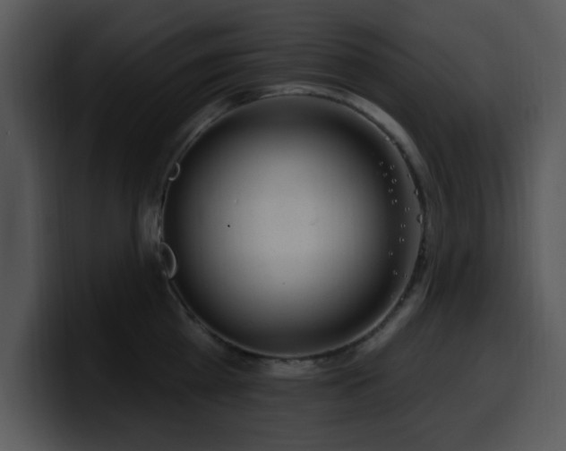 X0000100390809200806061253