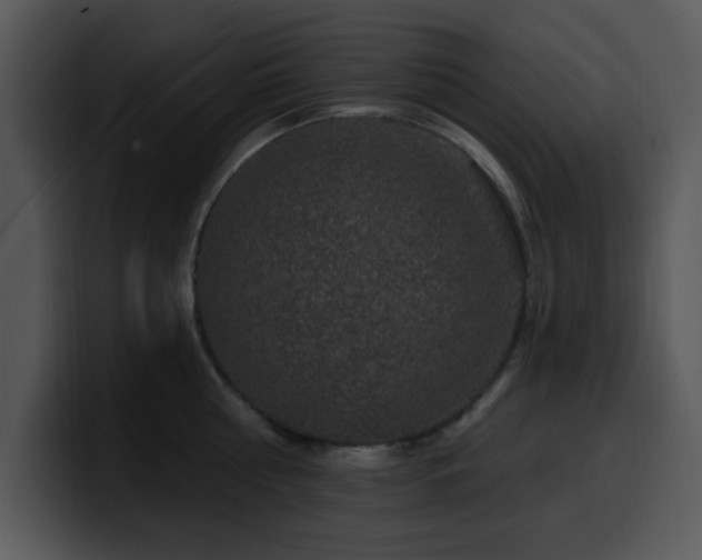 X0000100390810200806061253