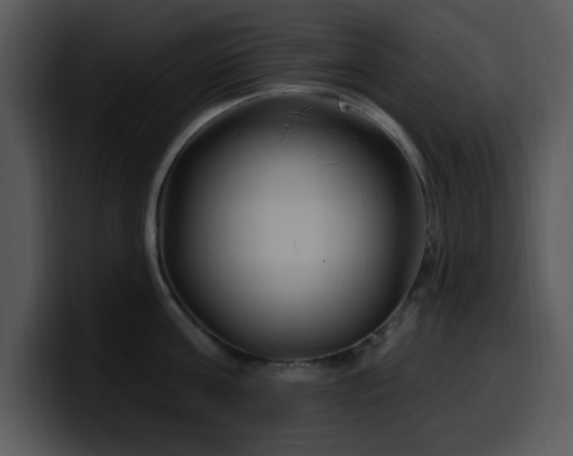X0000100390811200806061253