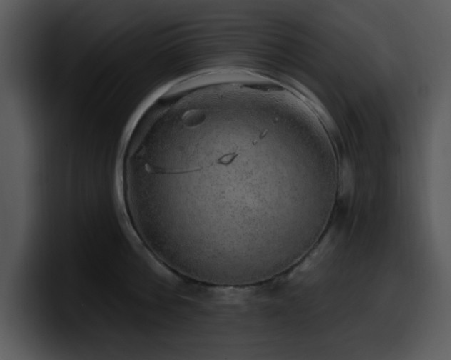 X0000100390812200806061253