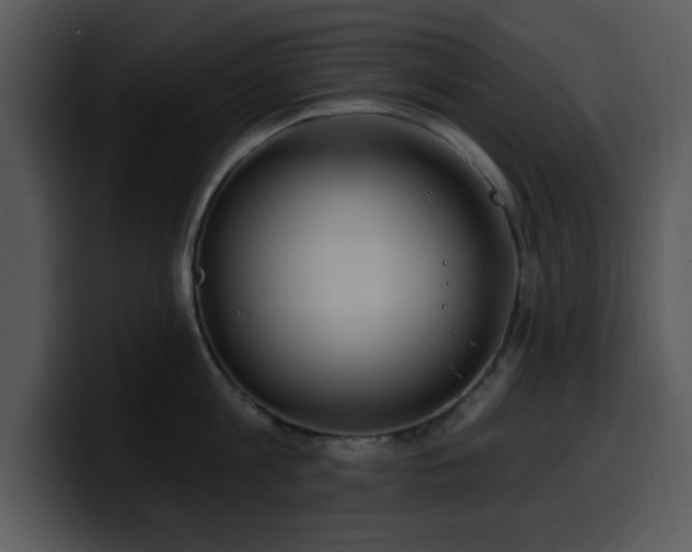 X0000100390813200806061253