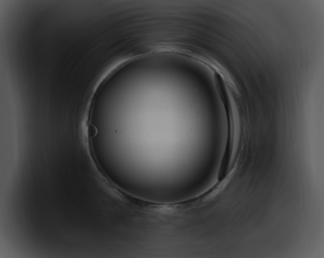 X0000100390814200806061253