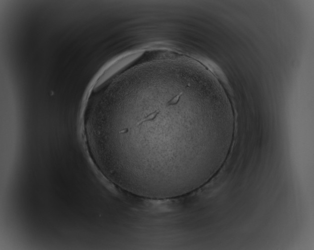 X0000100390816200806061253