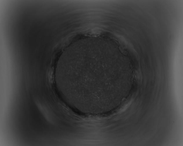 X0000100390818200806061252