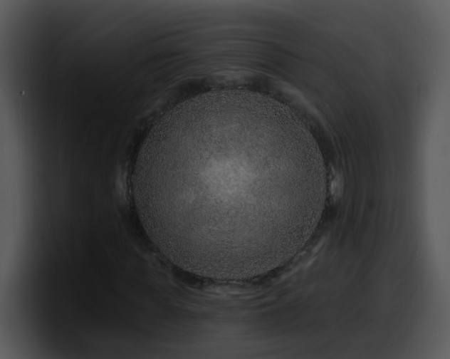 X0000100390819200806061252
