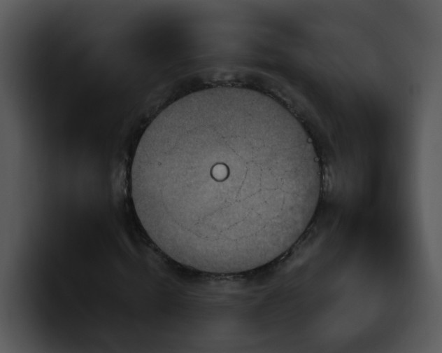 X0000100390820200806061252