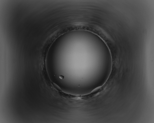 X0000100390821200806061252