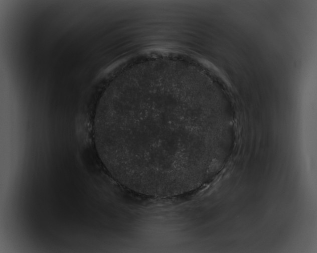 X0000100390822200806061252