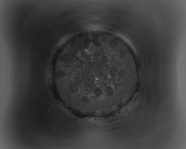 X0000100390823200806061252