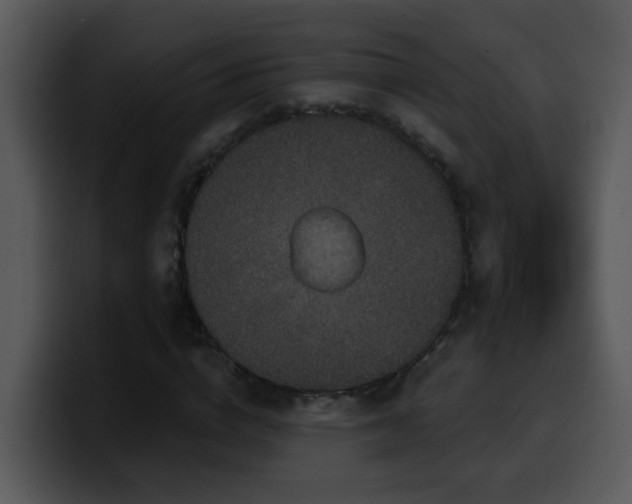X0000100390824200806061252
