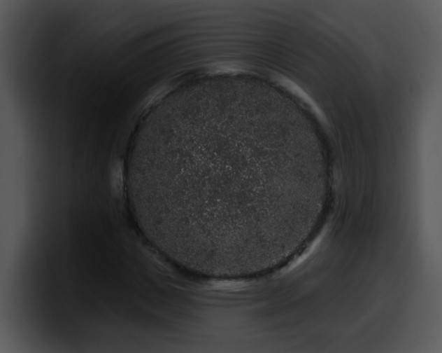 X0000100390825200806061252