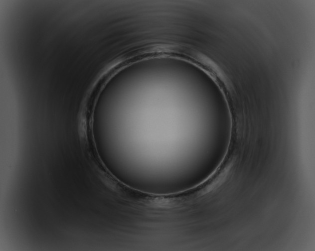 X0000100390827200806061252