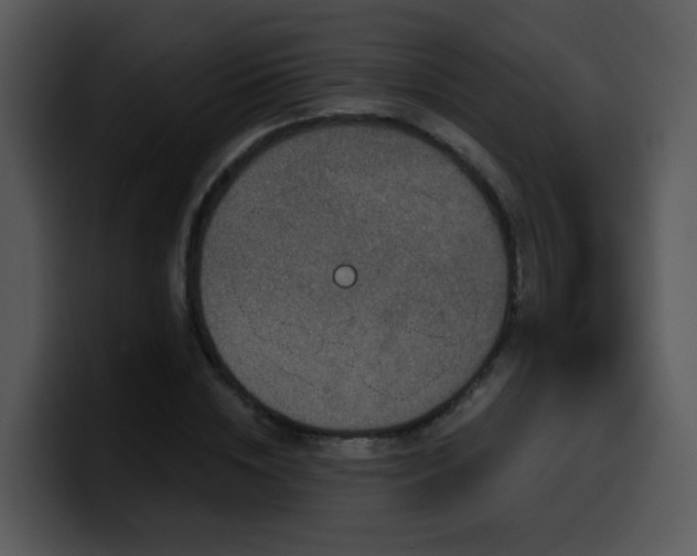 X0000100390828200806061252