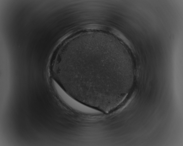 X0000100390829200806061252