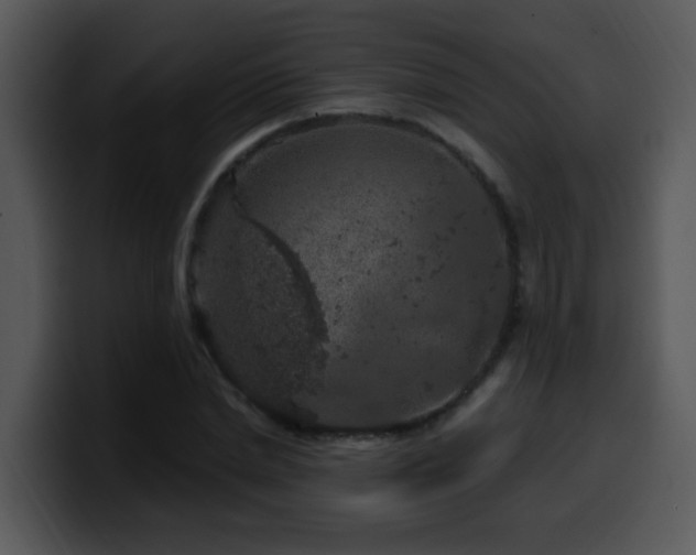X0000100390830200806061252