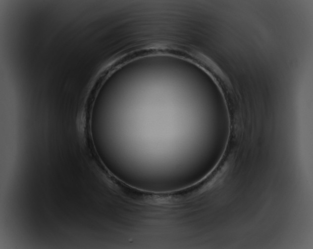 X0000100390831200806061252