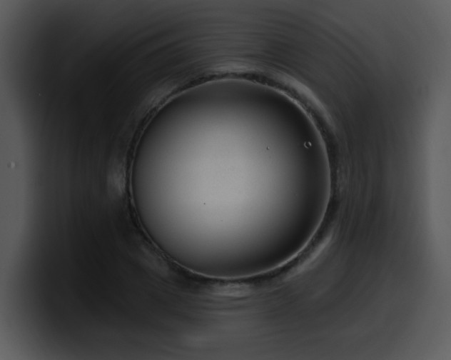 X0000100390833200806061252