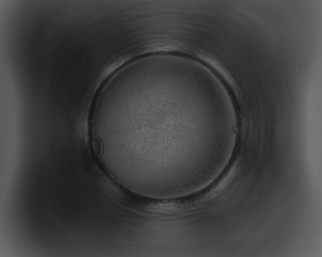X0000100390834200806061252