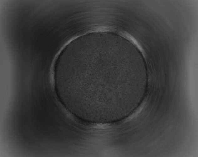 X0000100390835200806061252