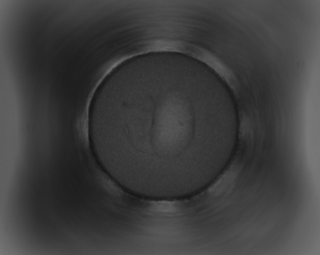 X0000100390836200806061252
