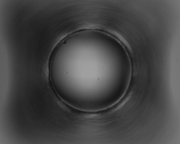 X0000100390837200806061252