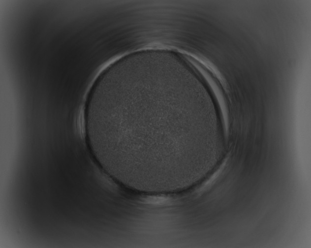 X0000100390838200806061252