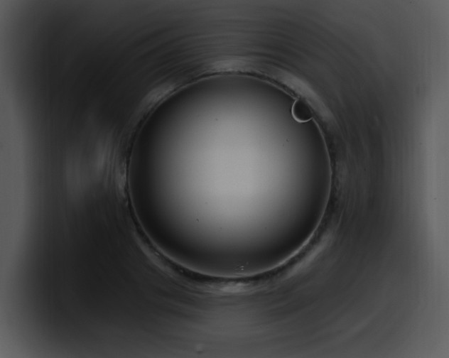 X0000100390841200806061252