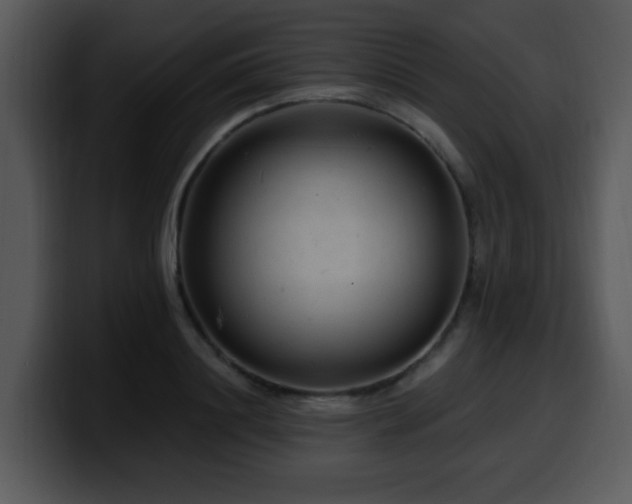 X0000100390844200806061252