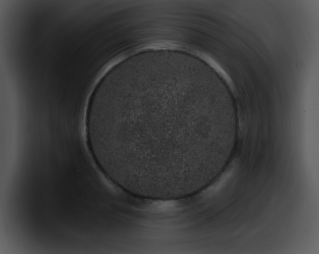 X0000100390845200806061252
