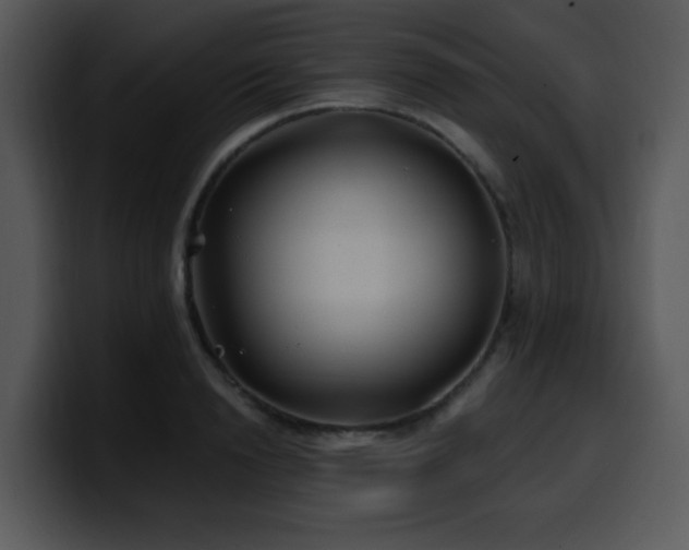 X0000100390846200806061252