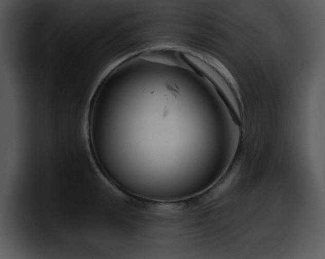 X0000100390847200806061252