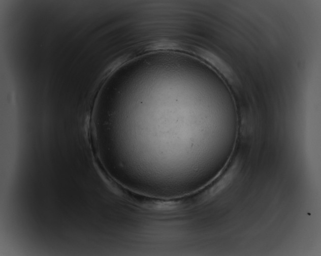 X0000100390849200806061252