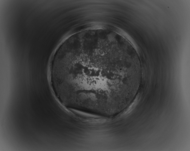 X0000100390851200806061252