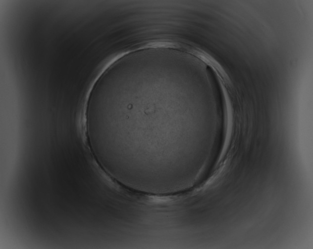 X0000100390852200806061253