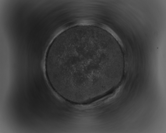 X0000100390853200806061253