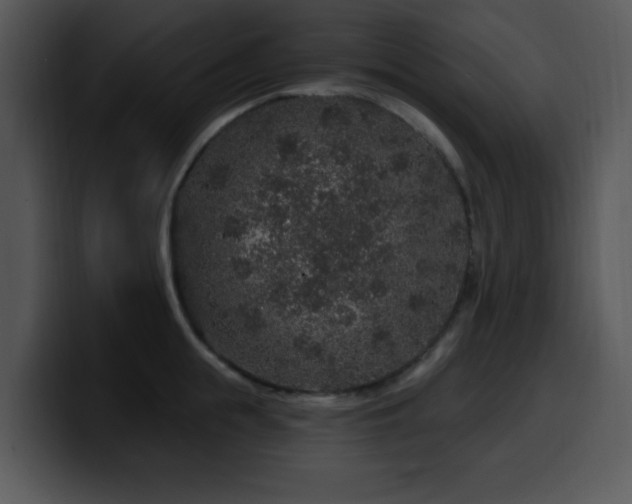 X0000100390855200806061253