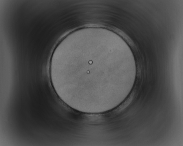 X0000100390856200806061253