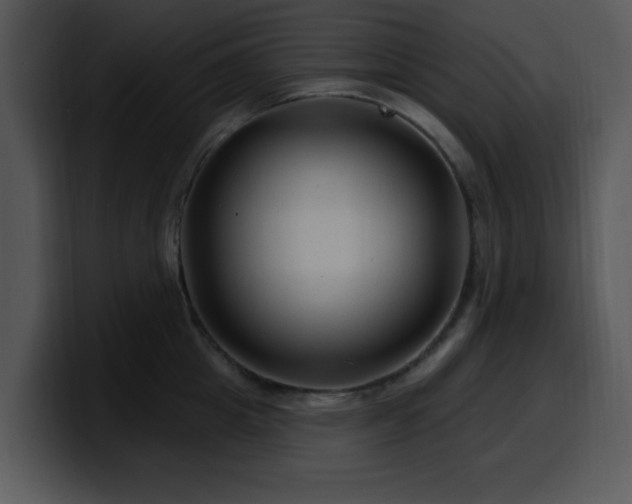 X0000100390857200806061253