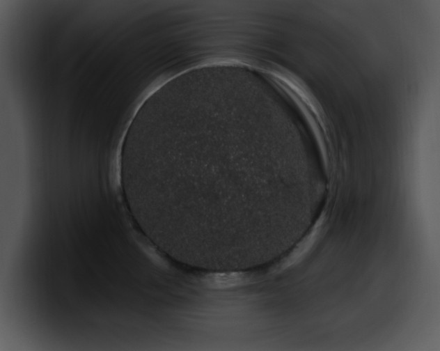 X0000100390858200806061253