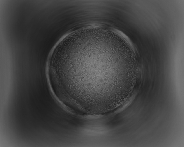 X0000100390859200806061253