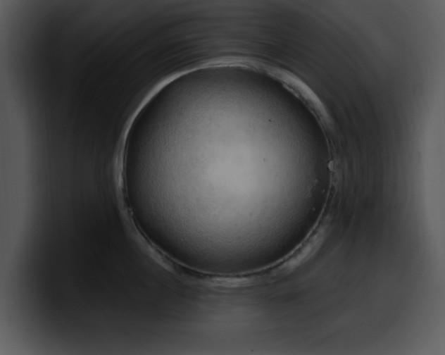 X0000100390860200806061253