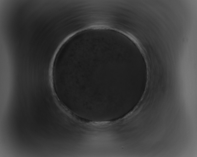 X0000100390864200806061253