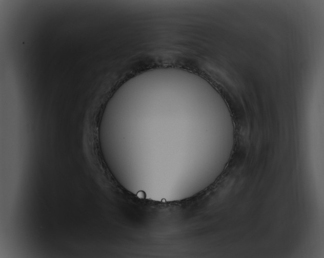 X0000100390865200806061252