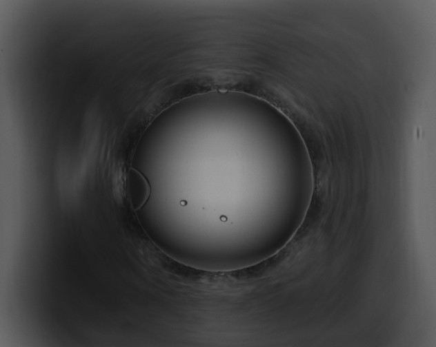 X0000100390866200806061252