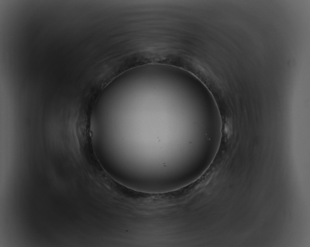 X0000100390867200806061252